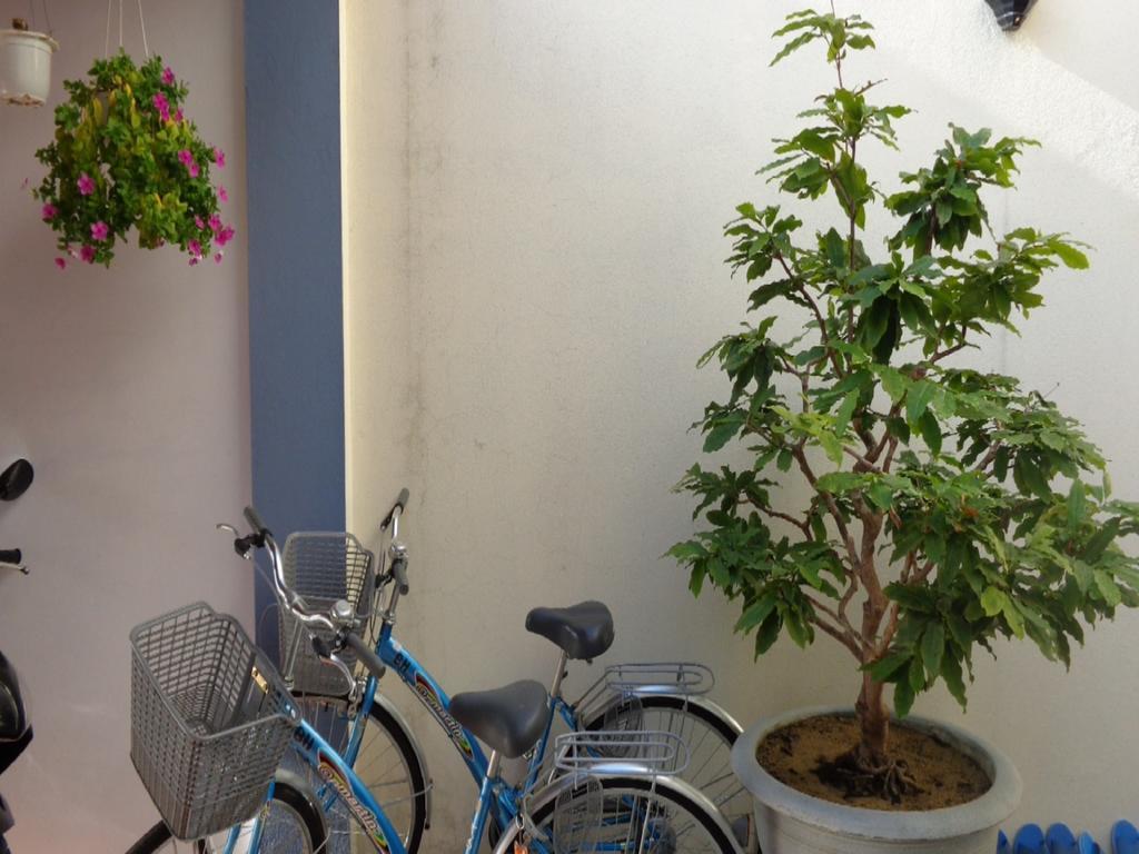 Banana Homestay Hoi An Exterior foto